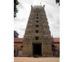 Sri Vallipura Aalwar Kovil