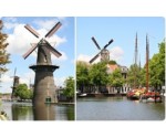 Museummolen De Nieuwe Palmboom