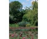 Bennetts Water Gardens 