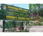 Horagolla National Park