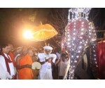 Attanagalla Sangabo Perahera