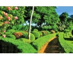 MIRIJJAWILA BOTANICAL GARDEN