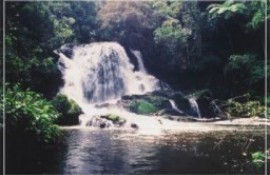 Upper Elgin Falls
