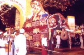 The Kataragama Perahera