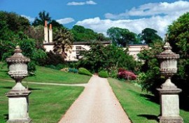 Killerton 
