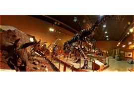 Dinosaurland Fossil Museum 