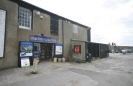 Lyme Regis Marine Aquarium 