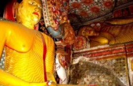 Naigala Rajamaha Viharaya
