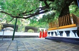 Sulu Na Pahura Rajamaha Viharaya