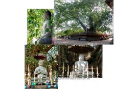 Paduwasnuwara Sri Sumanarama Rajamaha Viharaya