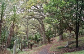 Symonds Street Cemetery