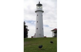 Tiritiri Matangi Lighthouse