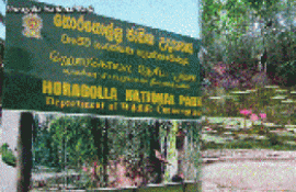 Horagolla National Park