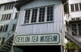 Ceylon Tea Museum