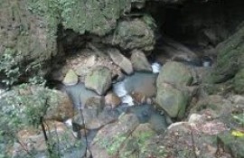 Wavulpane Falls