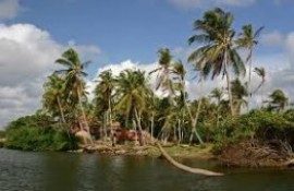 Maha Oya