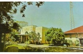 MACKWOODS TEA MUSEUM