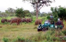 Hambantota Safari Zoo