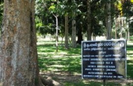 HENARATHGODA BOTANICAL GARDEN