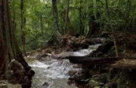 Seethakotuwa Falls