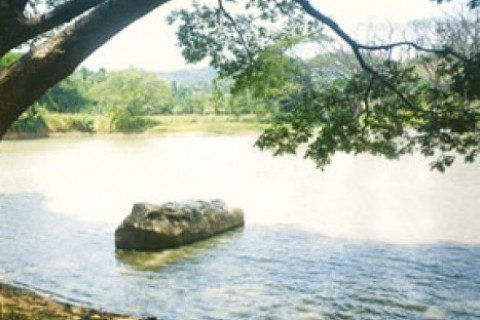 Bambawe Ara