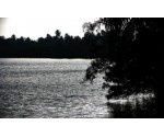 Madampe Lake