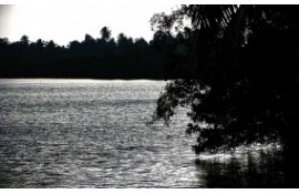 Madampe Lake