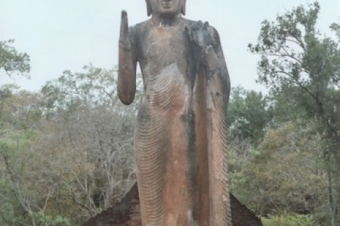 Maliga Villa Buddha Statues